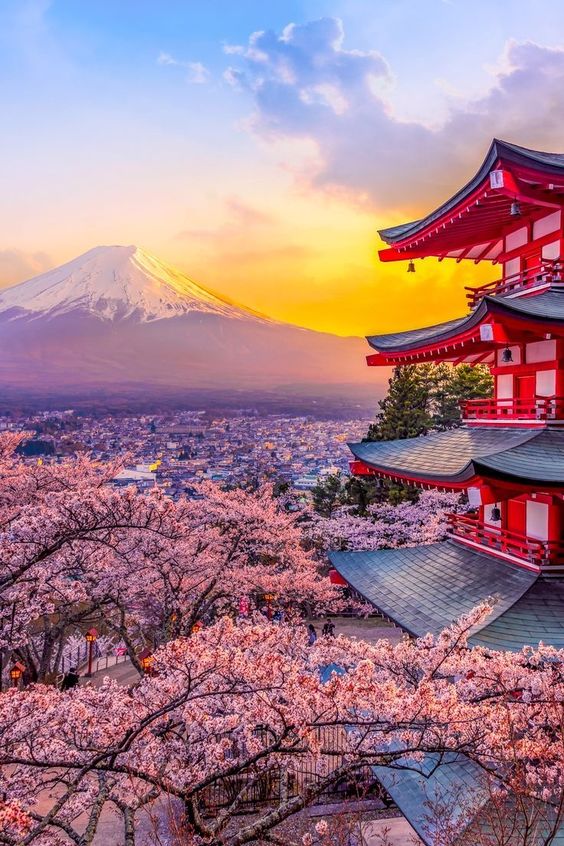 Lugares para viajar em Abril: Imagem das flores no Japão.