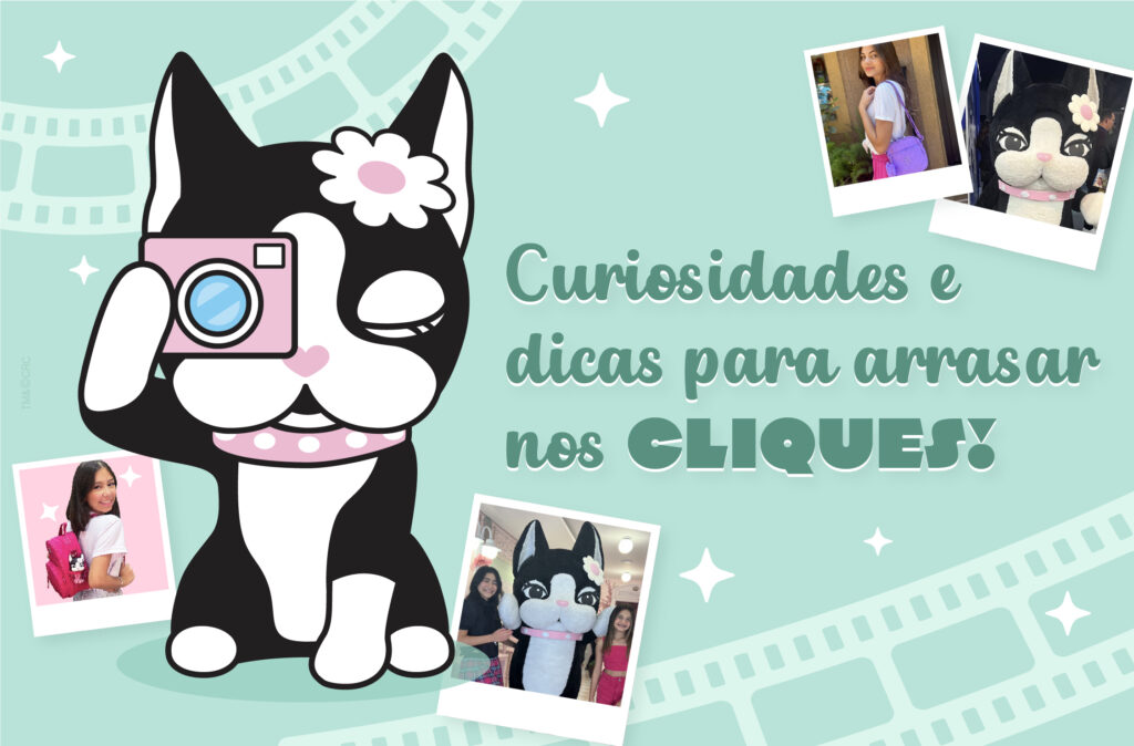 Curiosidades e dicas para arrasar nos cliques!