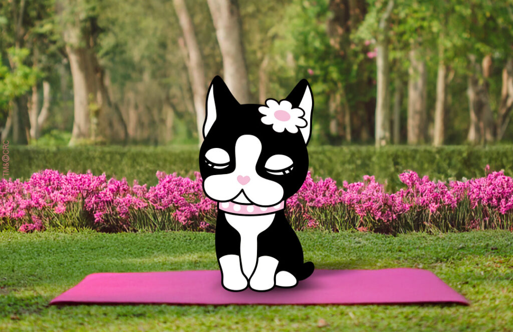Exercícios físicos e yoga