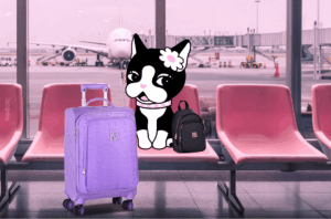 Um dia de aventuras com Rebecca Bonbon