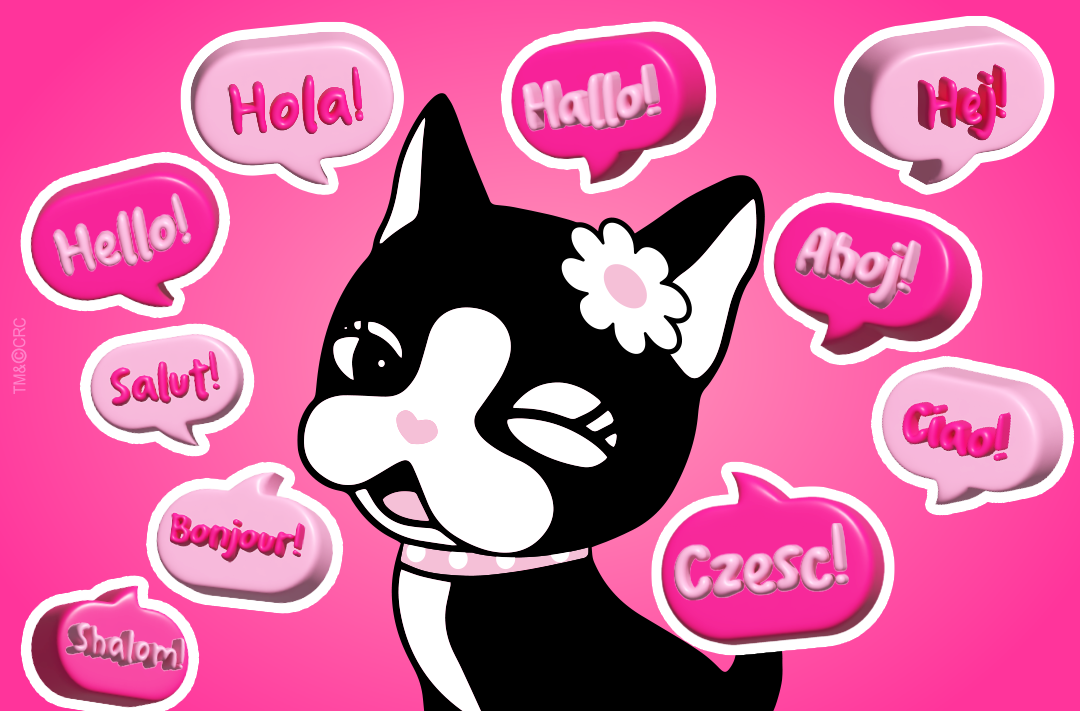Idiomas abrem portas