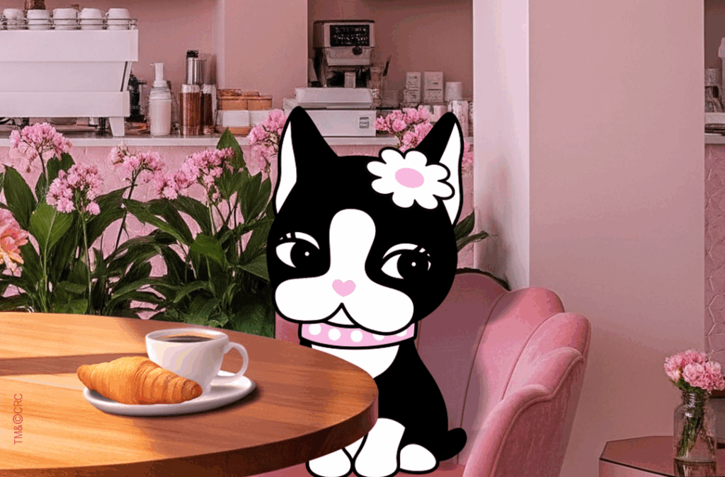 Top 5 coffee shops que eu amo