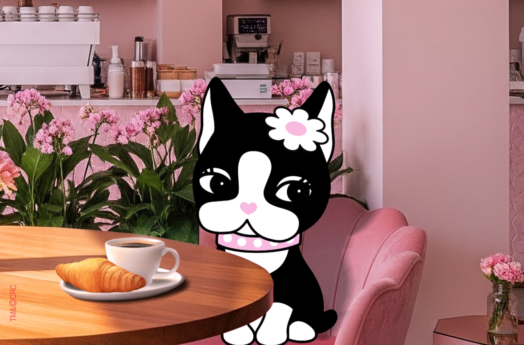 Top 5 coffee shops que eu amo