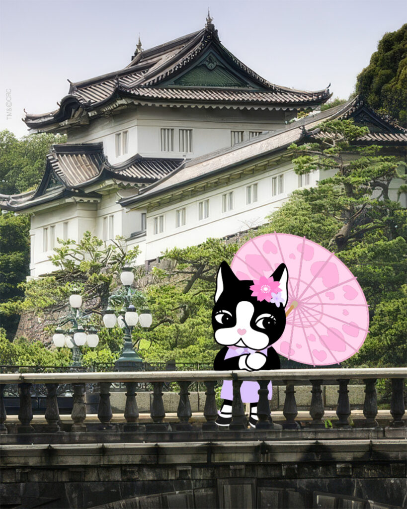 Blog - 18:03 (1 de 3)