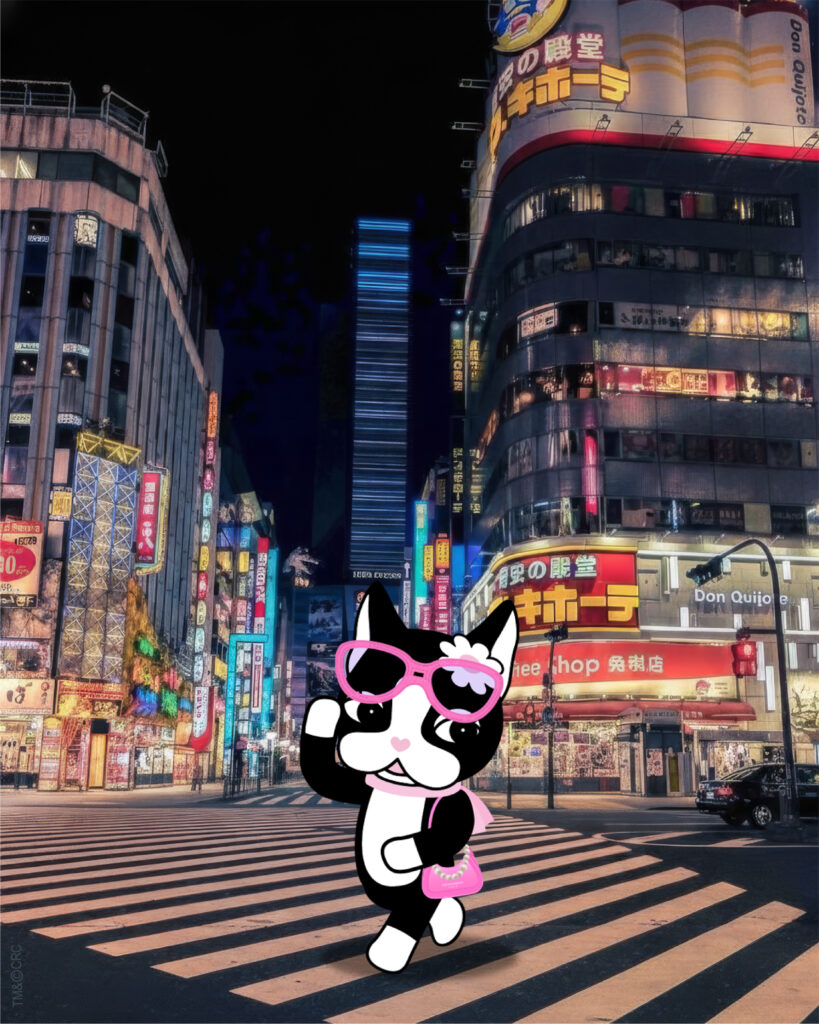 Blog - 18:03 (2 de 3)