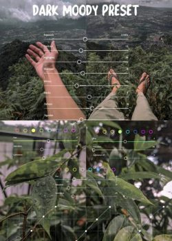 Edição com Lightroom - Pinterest